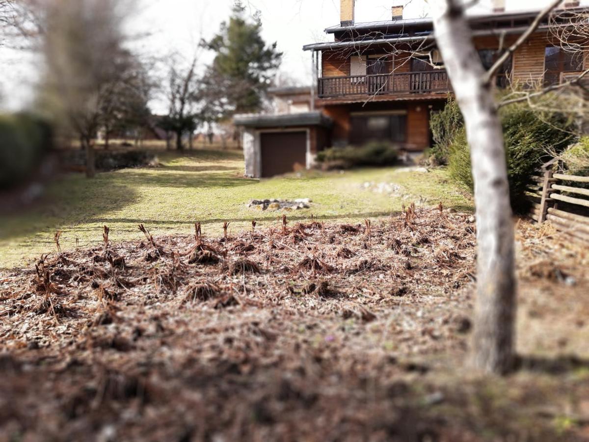 Tumitak Sarnia Family & Friends Villa Karpacz Kültér fotó